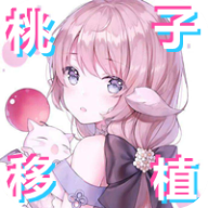 桃子RPG汉化版